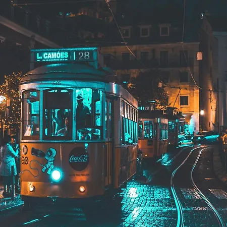 Pet-friendly In Apartment Porto