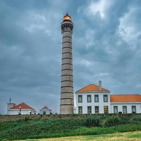 Apartment Pet-friendly In