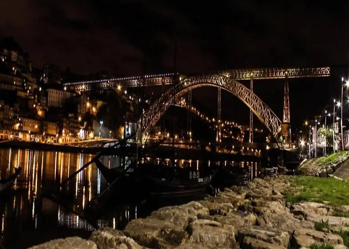 Pet-friendly In Porto