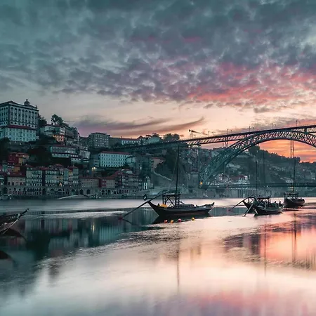 Pet-friendly In * Porto
